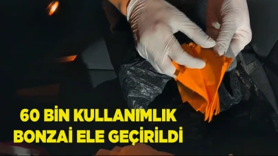 60 bin kullanımlık bonzai ele geçirildi