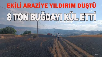 Ekili araziye yıldırım düştü, 8 ton buğdayı kül etti