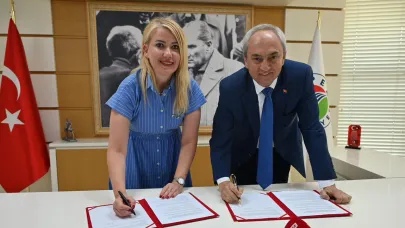 Merkezefendi mama verip, konteyner alacak