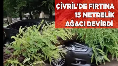 ÇİVRİL’DE FIRTINA 15 METRELİK AĞACI DEVİRDİ