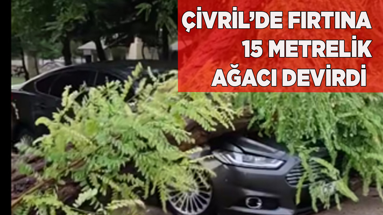 ÇİVRİL’DE FIRTINA 15 METRELİK AĞACI DEVİRDİ