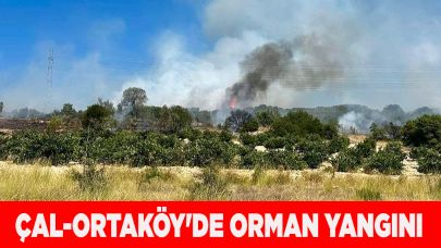 Çal Ortaköy'de orman yangını