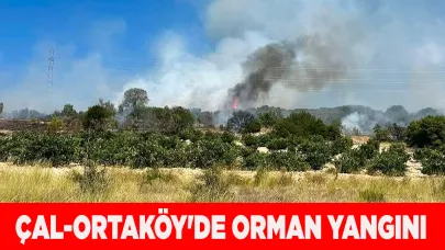 Çal Ortaköy'de orman yangını