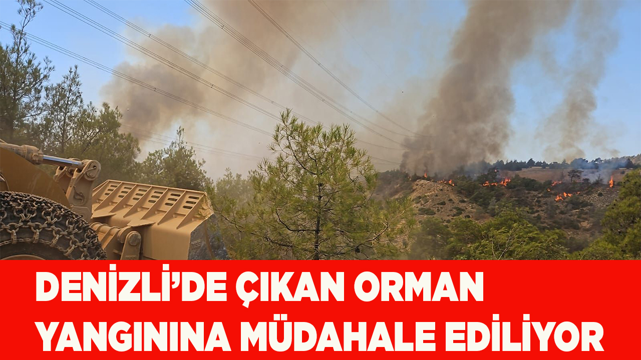 Denizli’de çıkan orman yangınına müdahale ediliyor