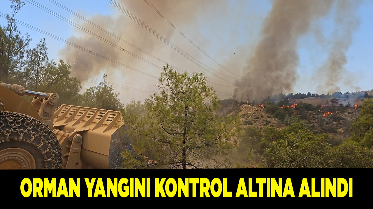 Orman yangını kontrol altına alındı