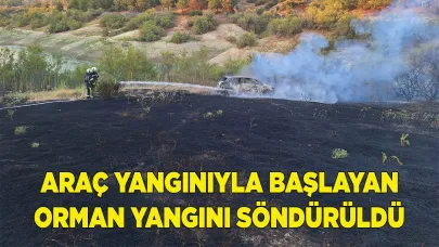 Araç yangınıyla başlayan orman yangını söndürüldü