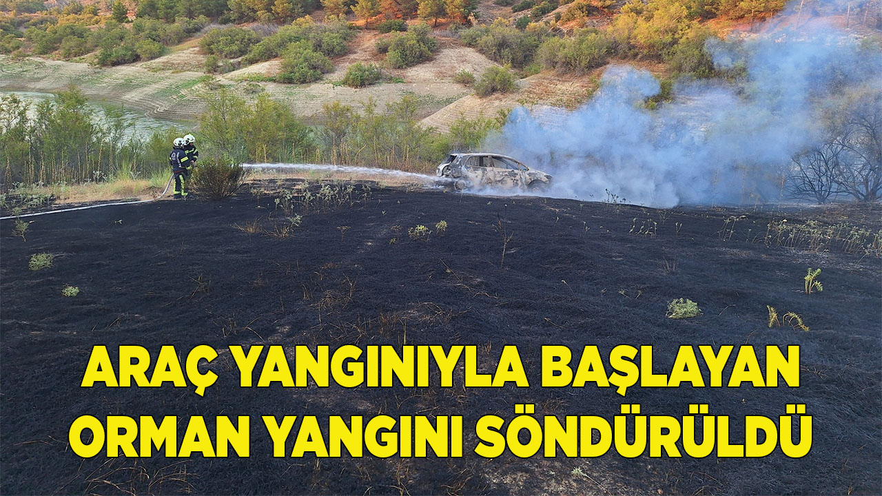 Araç yangınıyla başlayan orman yangını söndürüldü