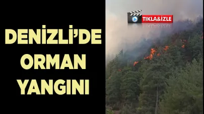 Denizli’de orman yangını