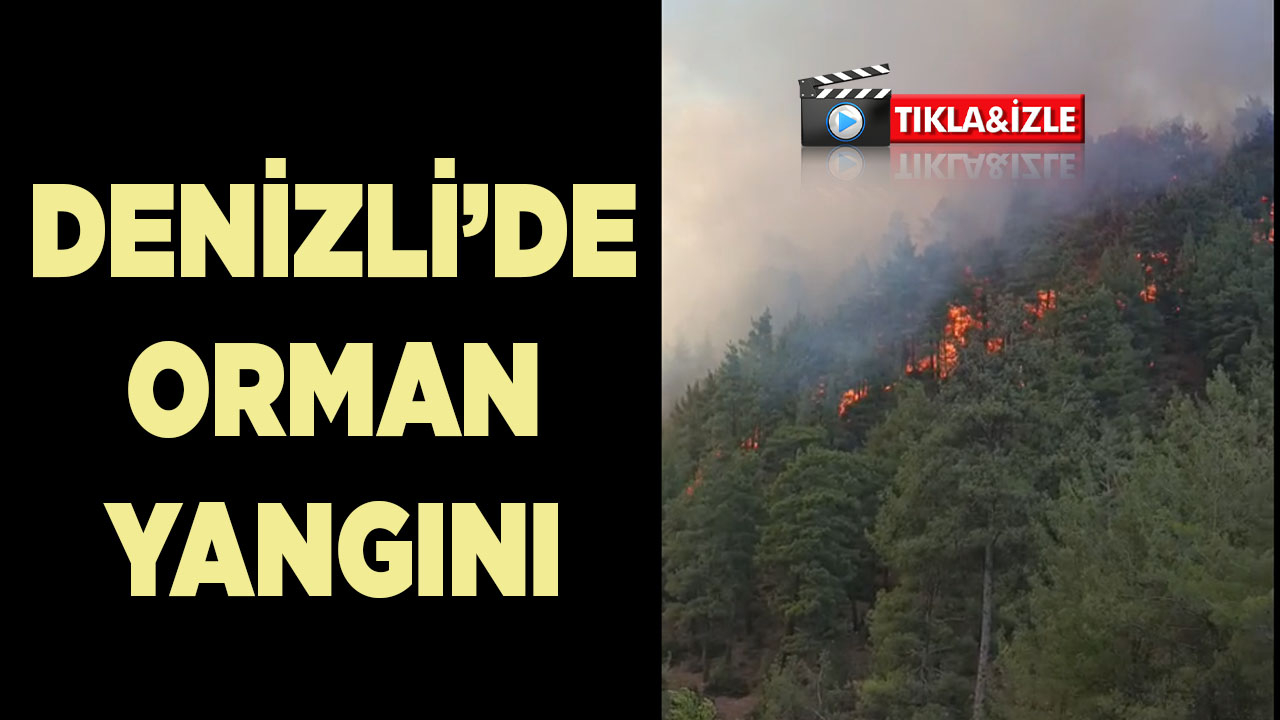 Denizli’de orman yangını