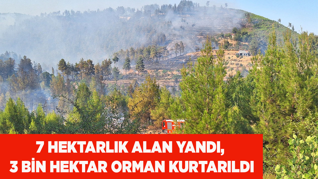 7 hektarlık alan yandı, 3 bin hektar orman kurtarıldı