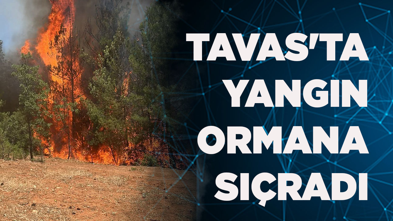 TAVAS'TA YANGIN ORMANLIK ALANA SIÇRADI