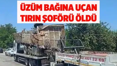 Üzüm bağına uçan kamyon şoförü öldü