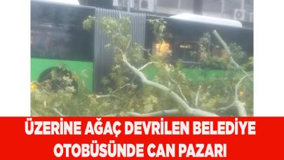 Üzerine ağaç devrilen belediye otobüsünde can pazarı