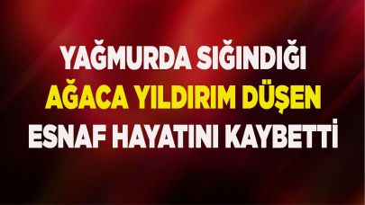 Sığındığı ağaca yıldırım düşen perdeci hayatını kaybetti