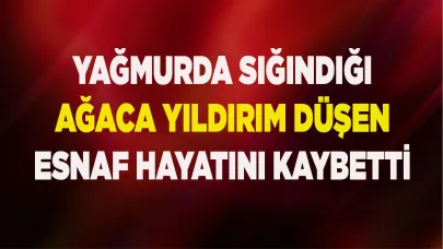 Sığındığı ağaca yıldırım düşen perdeci hayatını kaybetti