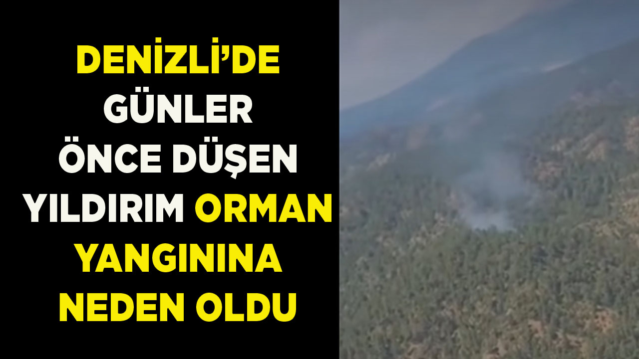 Günler önce düşen yıldırım orman yangınına neden oldu