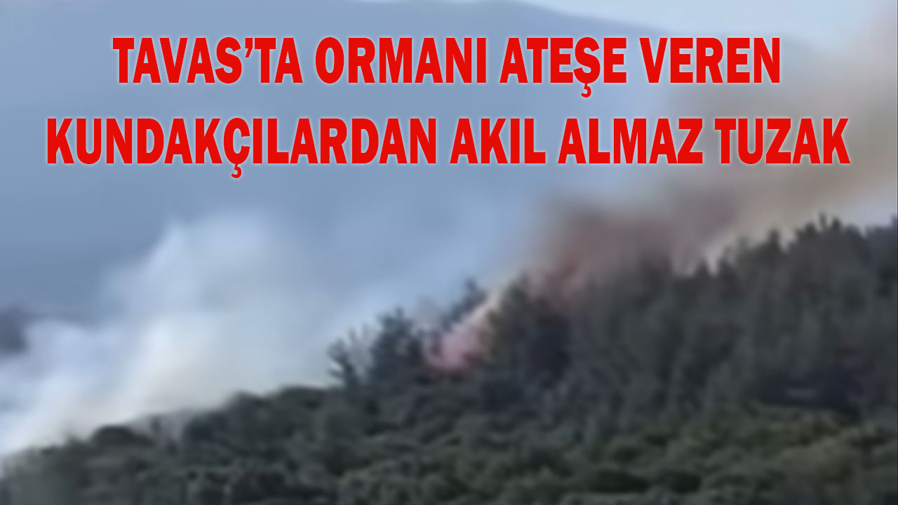 Tavas’ta ormanı ateşe veren kundakçılardan akıl almaz tuzak