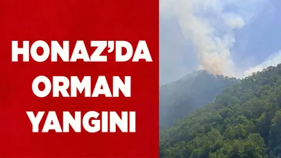 Honaz’da orman yangını