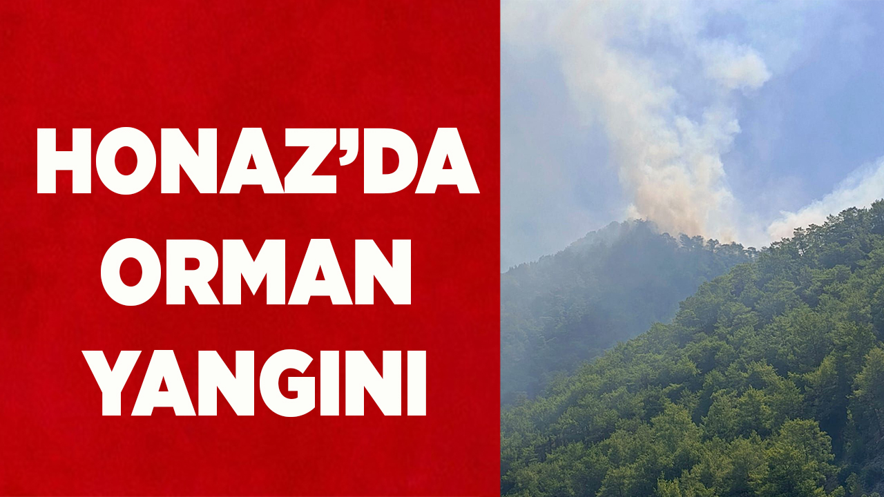 Honaz’da orman yangını