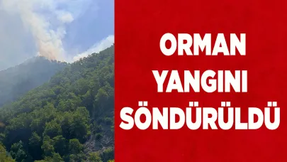 Orman yangını söndürüldü