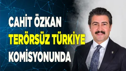 CAHİT ÖZKAN TERÖRSÜZ TÜRKİYE KOMİSYONUNDA