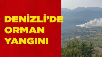 Denizli’de orman yangını