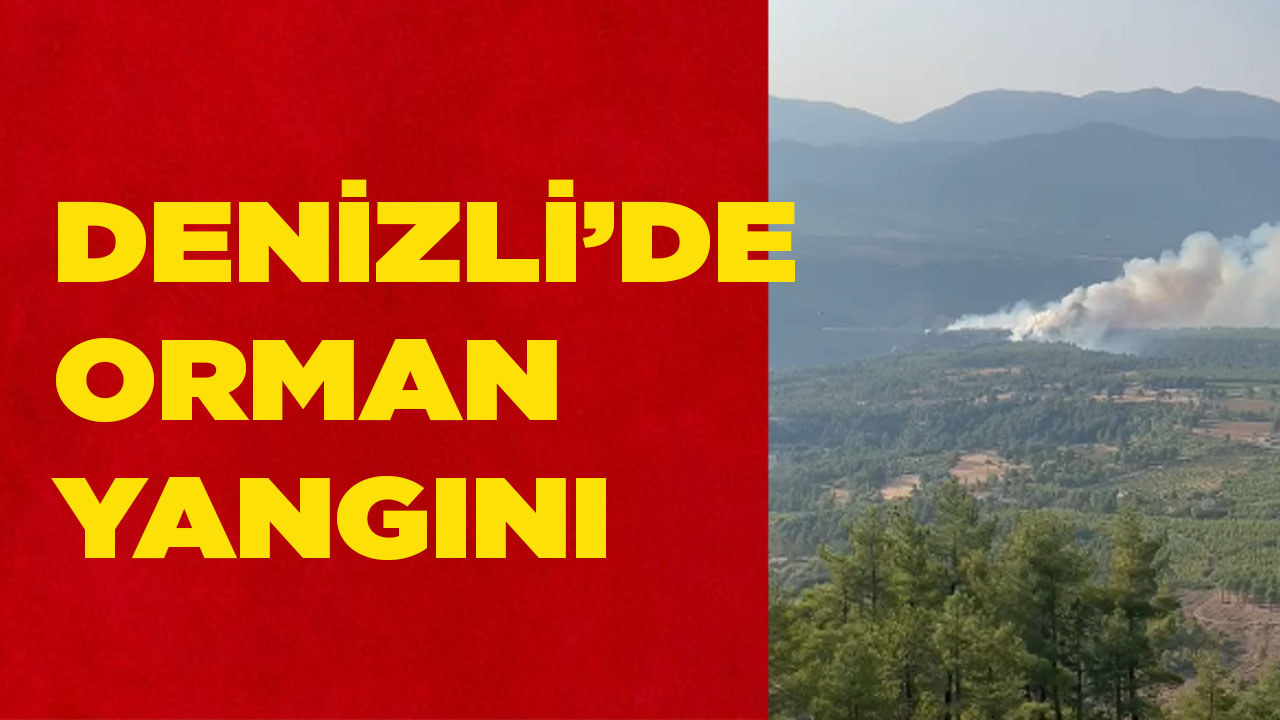 Denizli’de orman yangını