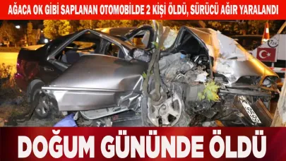 Ağaca ok gibi saplandı, 2 kişi öldü