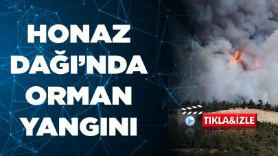 Denizli’de Honaz Dağı'nda  orman yangını