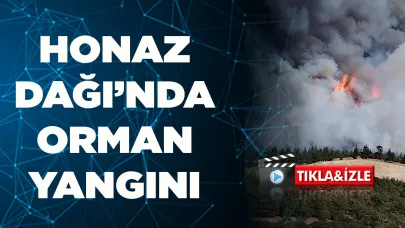 Denizli’de Honaz Dağı'nda  orman yangını