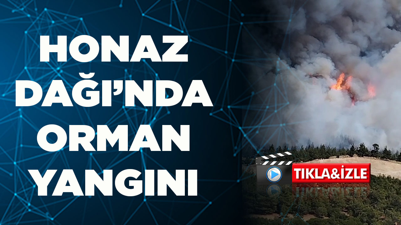 Denizli’de Honaz Dağı'nda  orman yangını