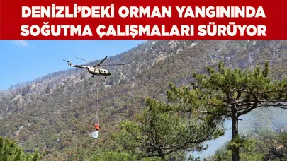 Orman yangınında soğutma çalışmaları devam ediyor