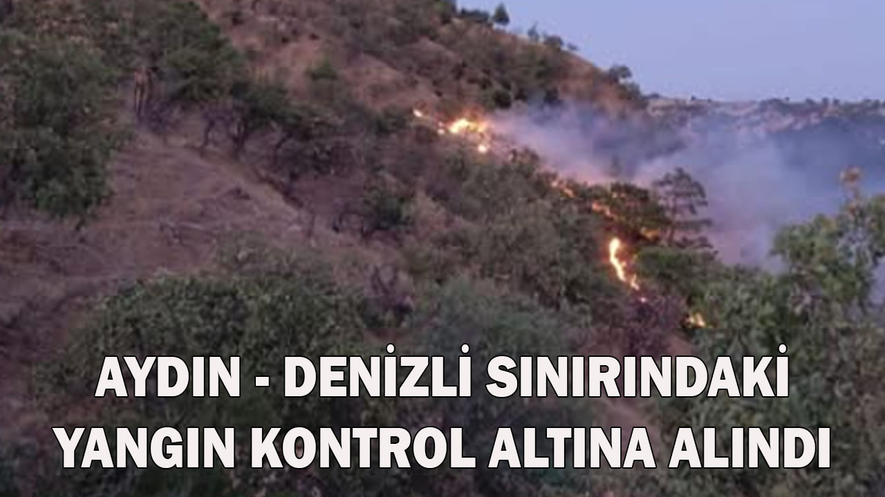 Aydın - Denizli sınırındaki yangın kontrol altına alındı