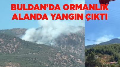 Buldan’da ormanlık alanda yangın çıktı