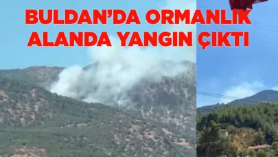Buldan’da ormanlık alanda yangın çıktı