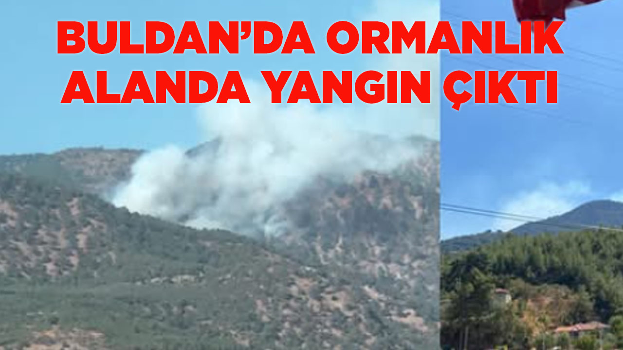 Buldan’da ormanlık alanda yangın çıktı