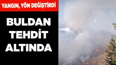 Yangın, yön değiştirdi. Buldan tehdit altında
