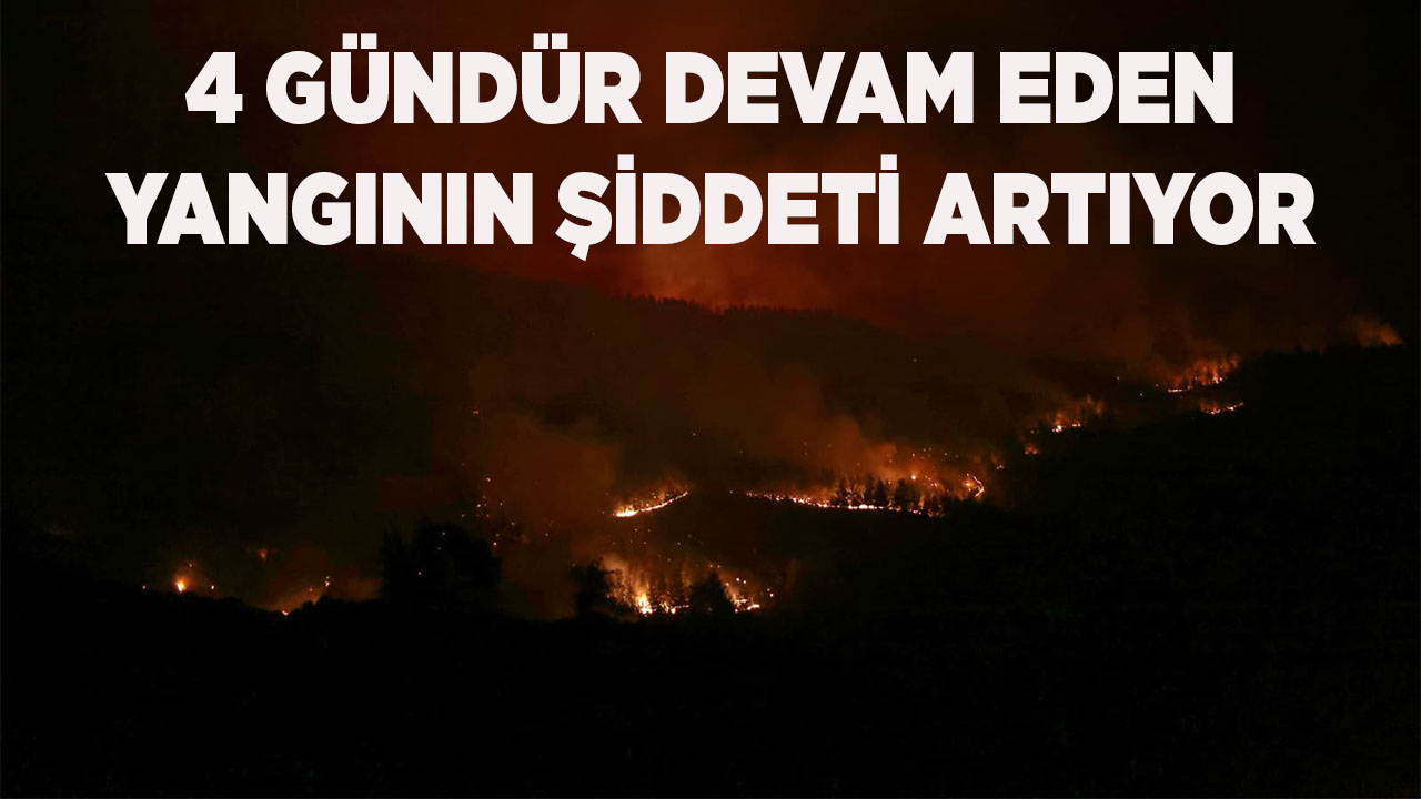 4 gündür devam eden yangının şiddeti artıyor