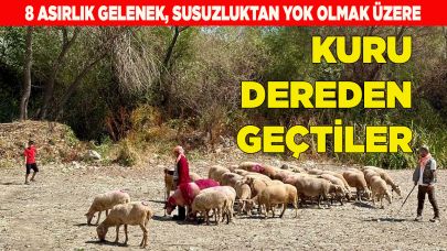 8 asırlık gelenek, susuzluktan yok olmak üzere