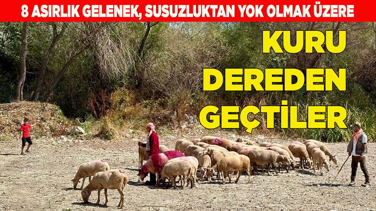 8 asırlık gelenek, susuzluktan yok olmak üzere