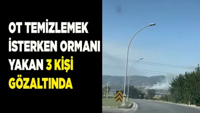 Ot temizlemek isterken ormanı yakan 3 kişi gözaltında
