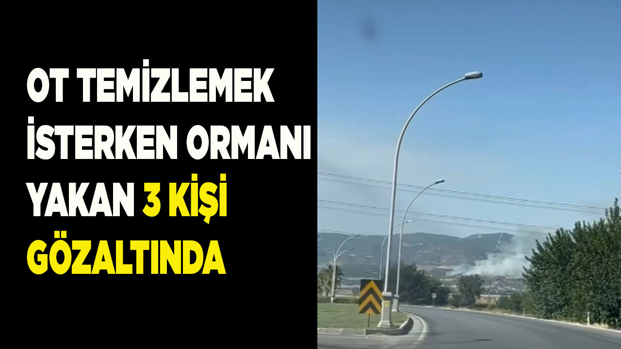 Ot temizlemek isterken ormanı yakan 3 kişi gözaltında