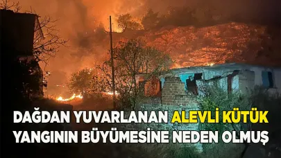 Dağdan yuvarlanan kütük yangının büyümesine neden oldu