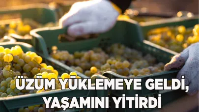 Üzüm yüklemeye geldi, yaşamını yitirdi