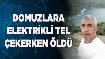 Domuzlara elektrikli tel çekerken öldü