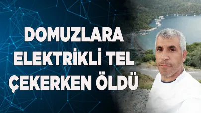 Domuzlara elektrikli tel çekerken öldü