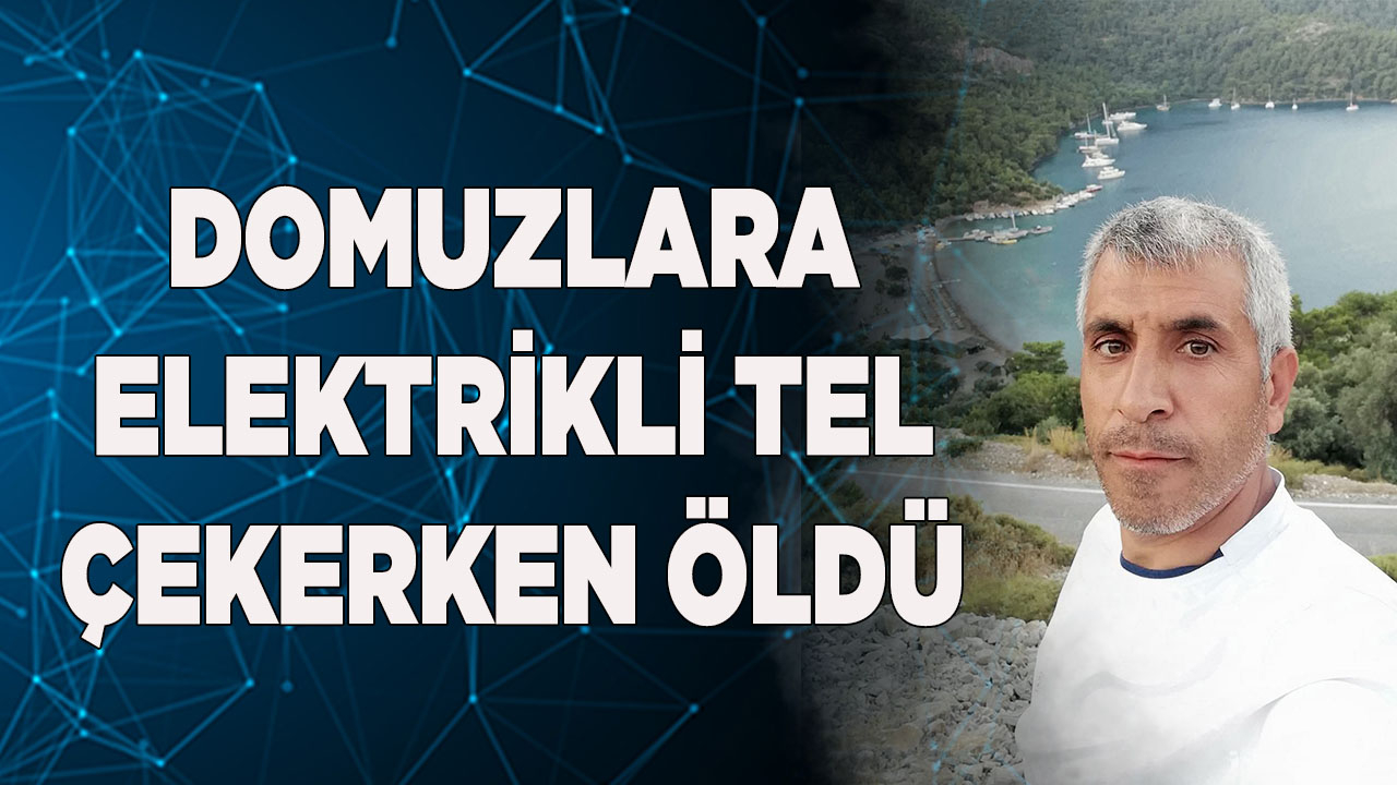 Domuzlara elektrikli tel çekerken öldü