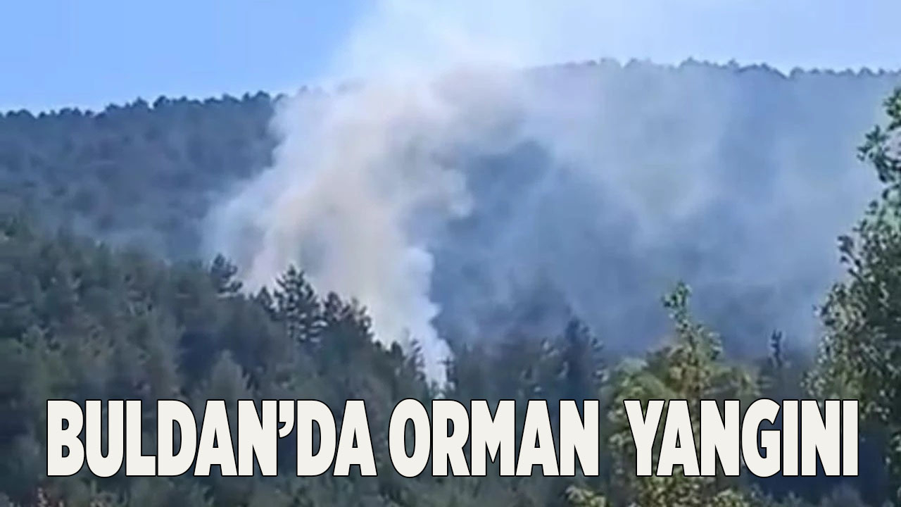 BULDAN’DA ORMAN YANGINI