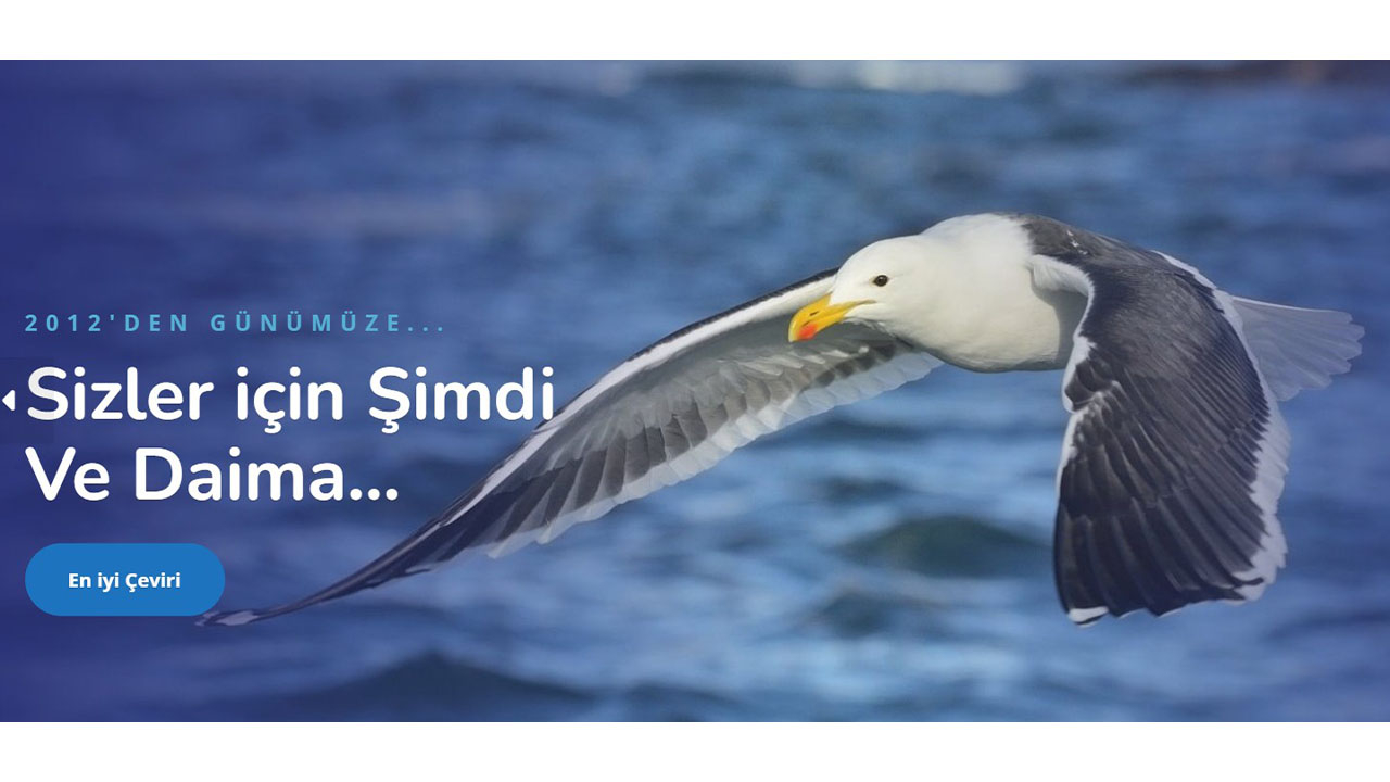 Tercüme Fiyatları ve Almanca Türkçe Çeviri