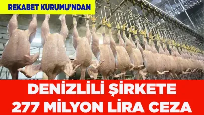 Denizlili şirkete 277 milyon lira ceza